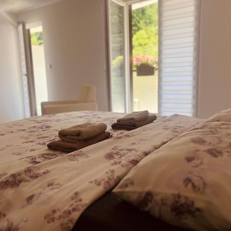 Zeleni Dvor Bed & Breakfast Ribarska Banja Exterior photo
